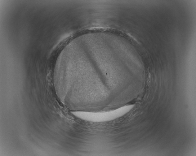 X0000080741351200701051134