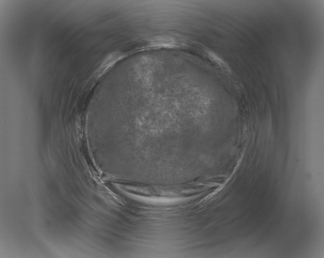 X0000080741353200701051134