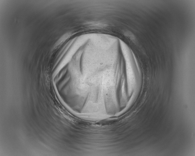 X0000080741354200701051134