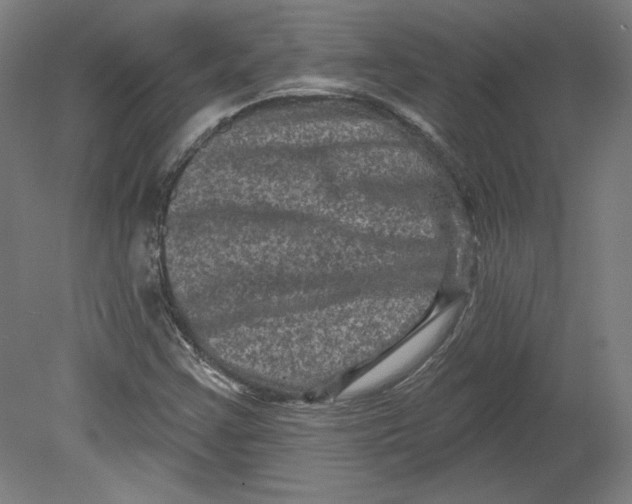 X0000080741355200701051134