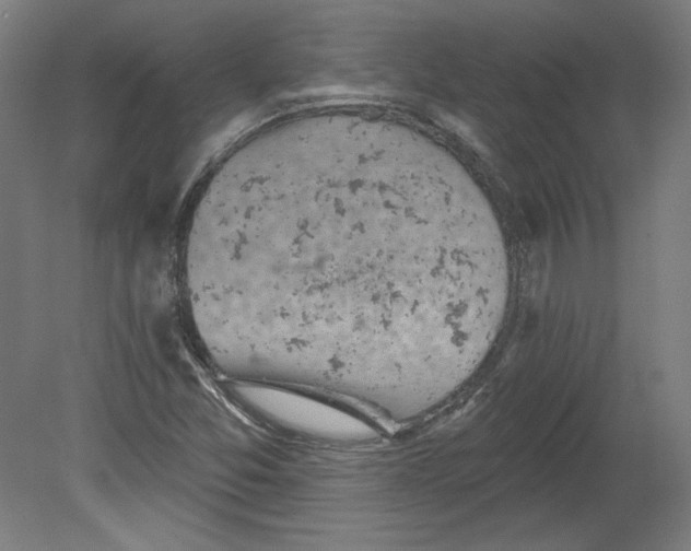 X0000080741357200701051134