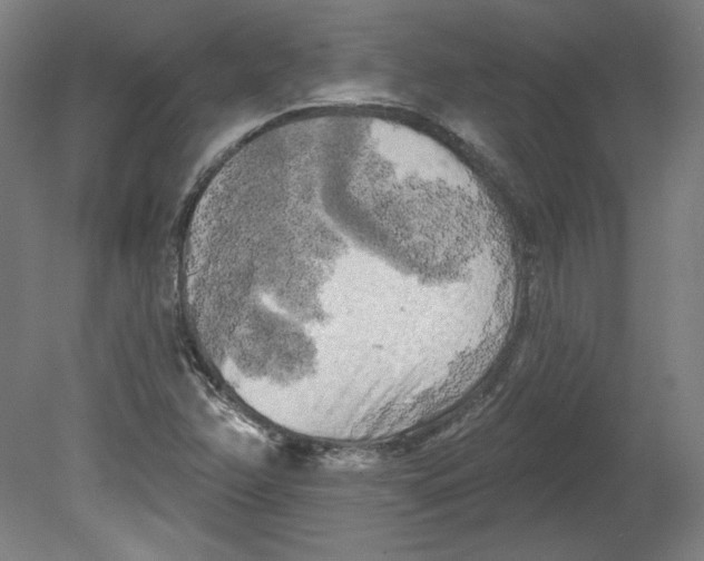 X0000080741358200701051133