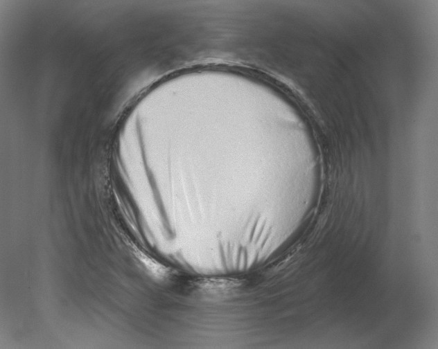 X0000080741359200701051133