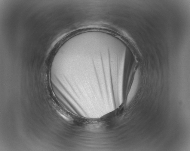 X0000080741360200701051133