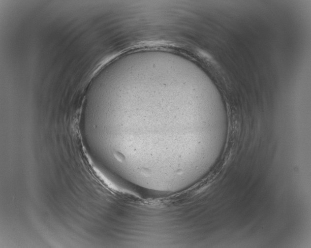 X0000080741361200701051133