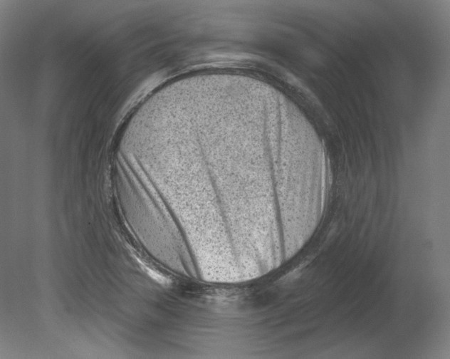 X0000080741362200701051133