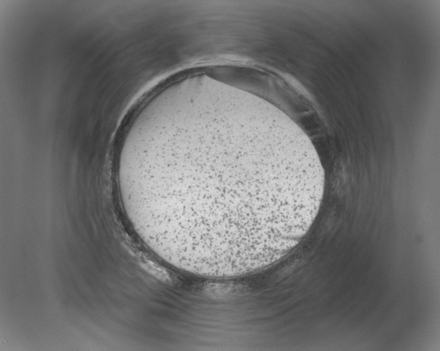 X0000080741364200701051133