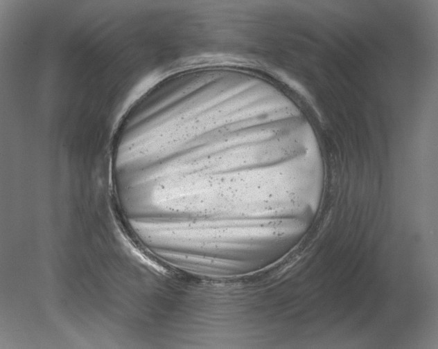 X0000080741365200701051133