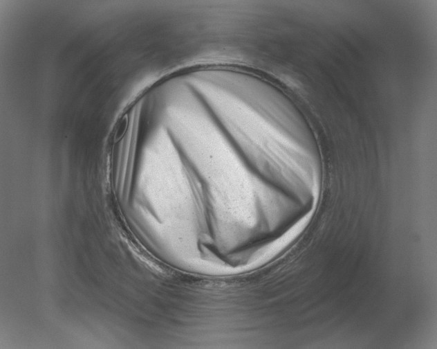 X0000080741366200701051133