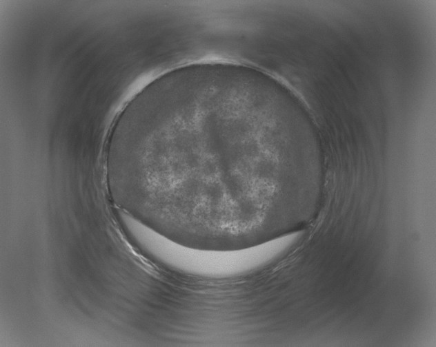 X0000080741367200701051133