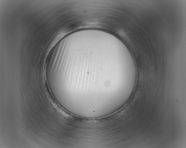 X0000080741370200701051133