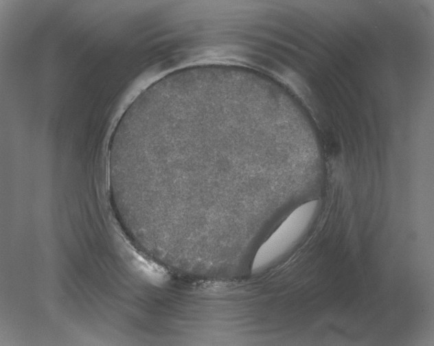 X0000080741371200701051133