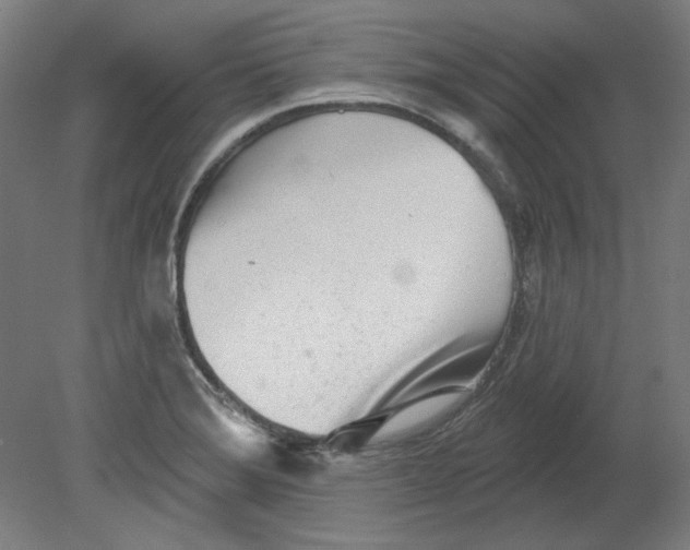 X0000080741372200701051133