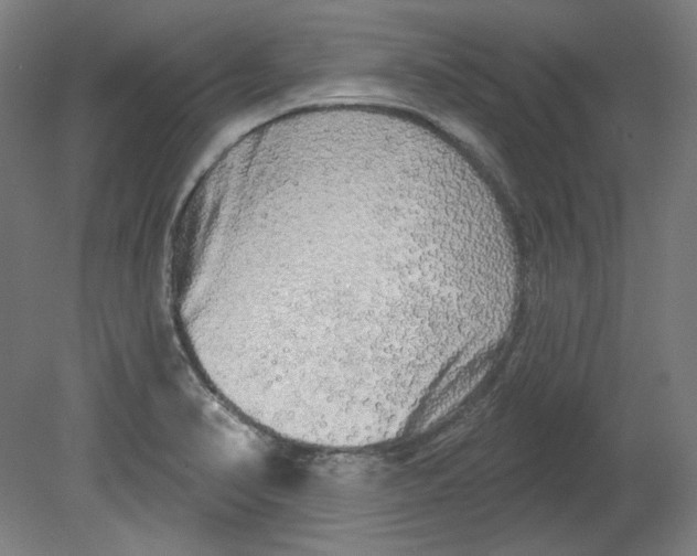 X0000080741374200701051133