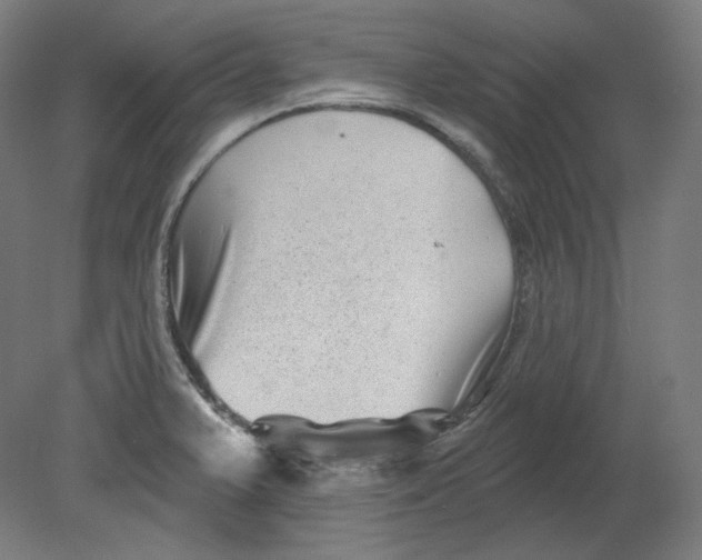 X0000080741375200701051133