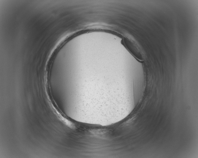 X0000080741376200701051133