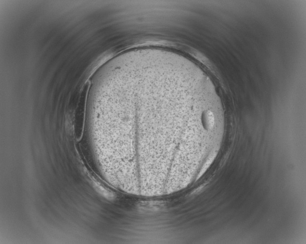 X0000080741377200701051133