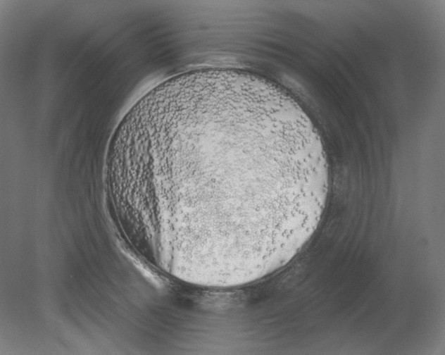 X0000080741378200701051133