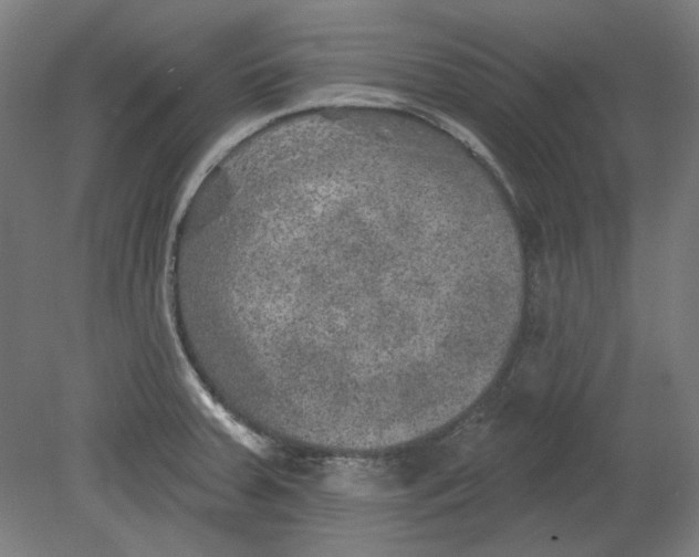 X0000080741379200701051133