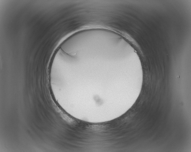 X0000080741380200701051133