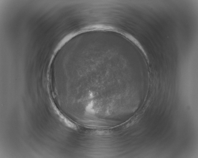 X0000080741381200701051133