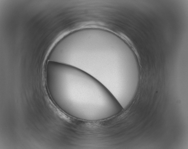 X0000080741384200701051133