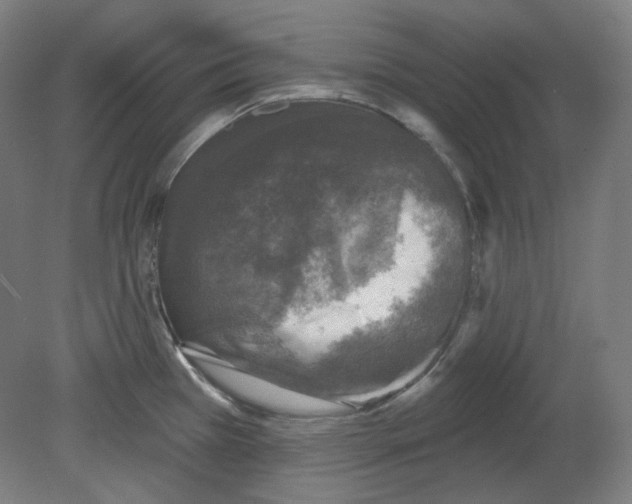 X0000080741385200701051133