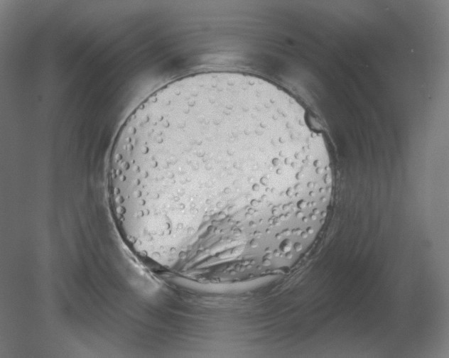 X0000080741386200701051133