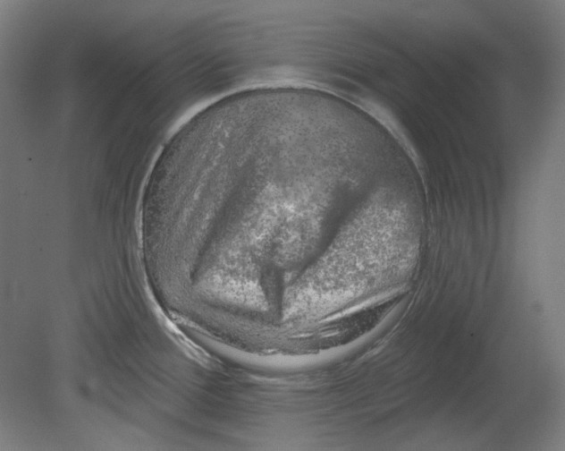 X0000080741388200701051133