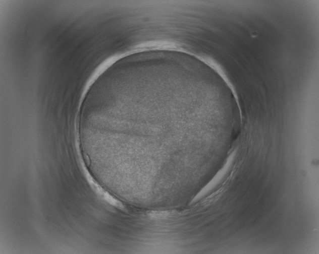 X0000080741389200701051133