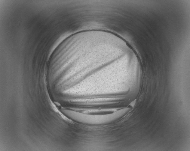 X0000080741390200701051133