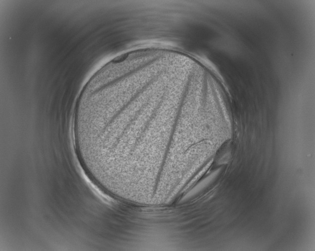 X0000080741391200701051133