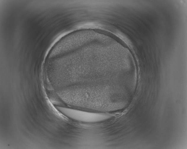 X0000080741392200701051133