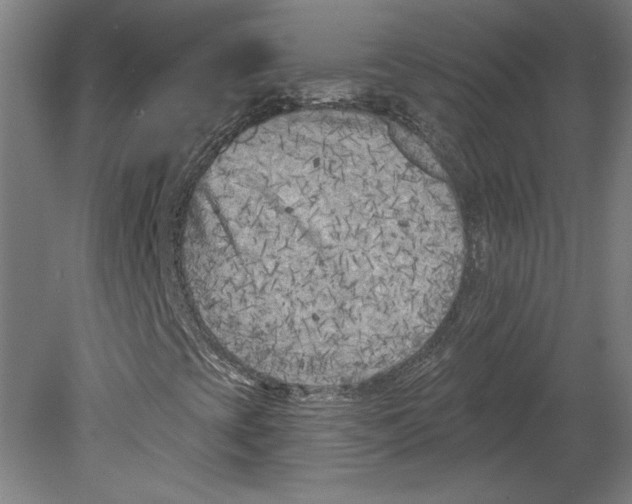 X0000080741393200701051132