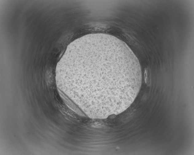 X0000080741395200701051132