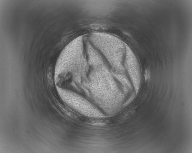 X0000080741396200701051132