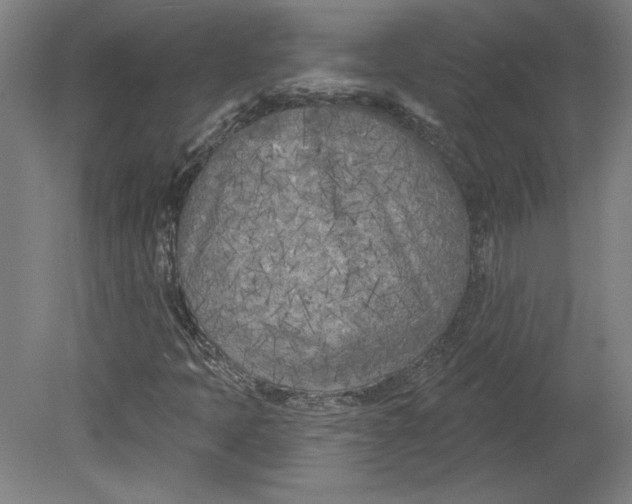 X0000080741397200701051132