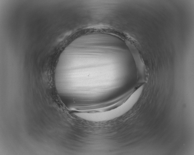 X0000080741398200701051132