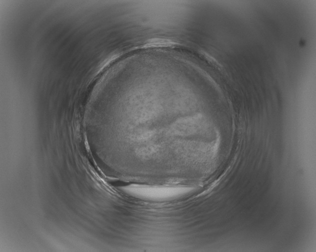 X0000080741401200701051132