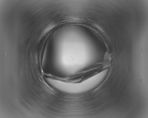 X0000080741402200701051132