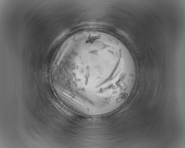 X0000080741403200701051132