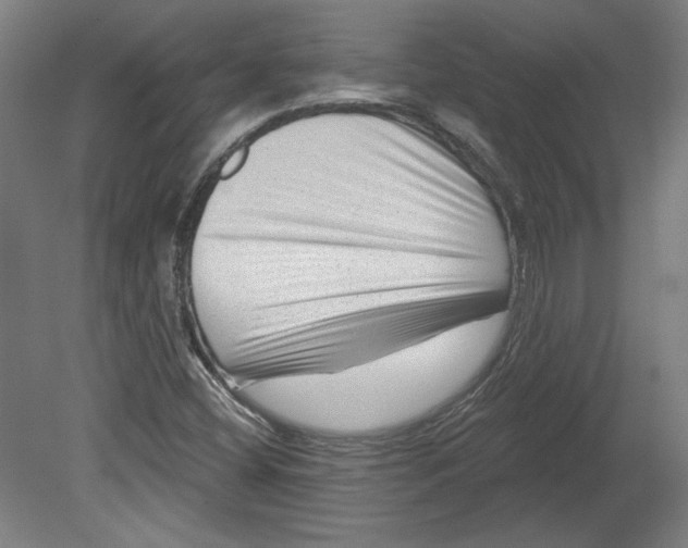 X0000080741404200701051132