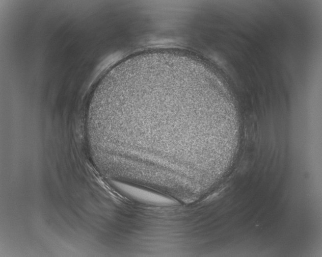 X0000080741405200701051132