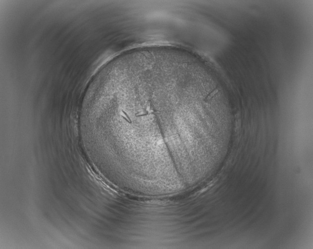 X0000080741409200701051132