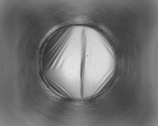 X0000080741410200701051132