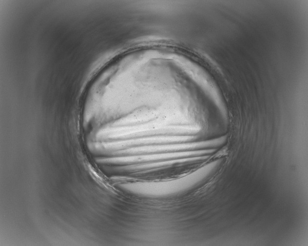 X0000080741413200701051132