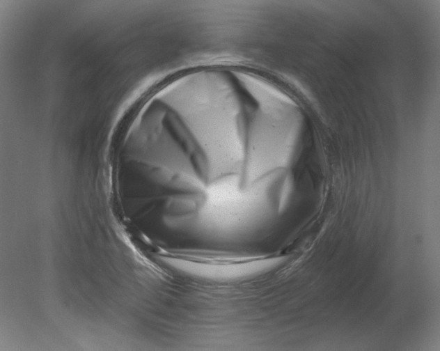 X0000080741414200701051132