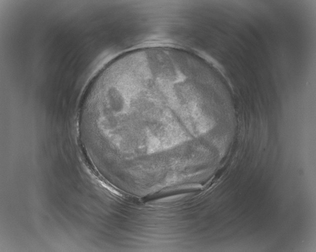 X0000080741415200701051132