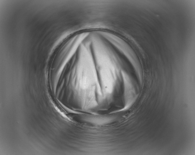 X0000080741416200701051132