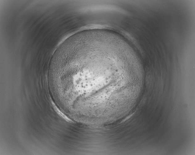 X0000080741417200701051133